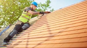 Best Skylight Installation and Repair  in Fowler, MI