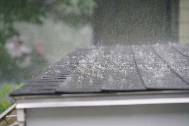 Best Hot Roofs  in Fowler, MI