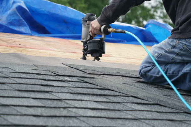Best Solar Panel Roofing Installation  in Fowler, MI