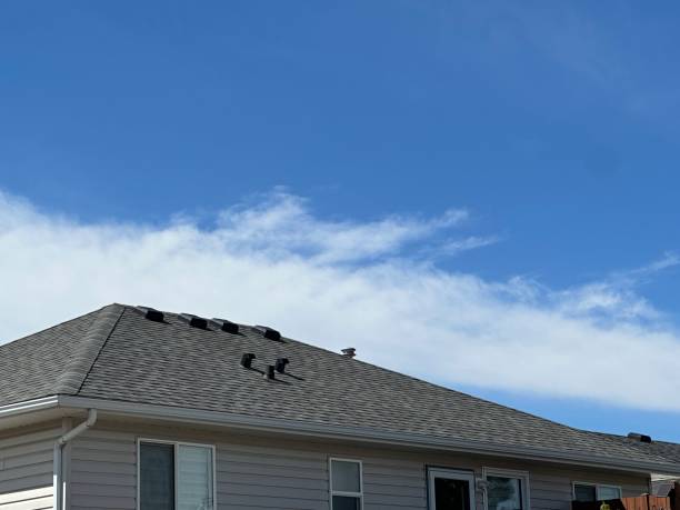 Best Roof Replacement  in Fowler, MI