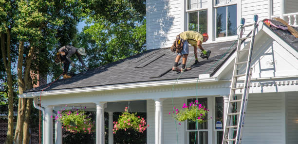 Best Roof Moss and Algae Removal  in Fowler, MI